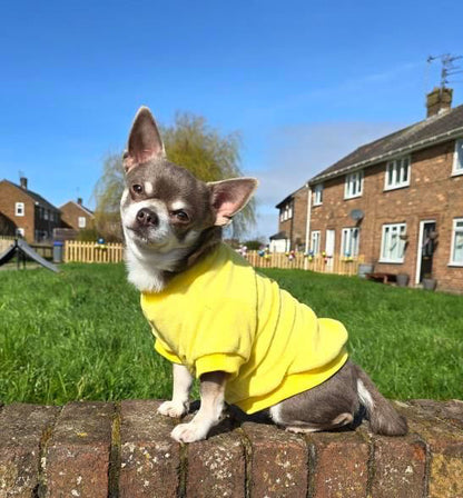 Sunshine Yellow Micro Fleece Dog Sweatshirt - Posh Pawz 2