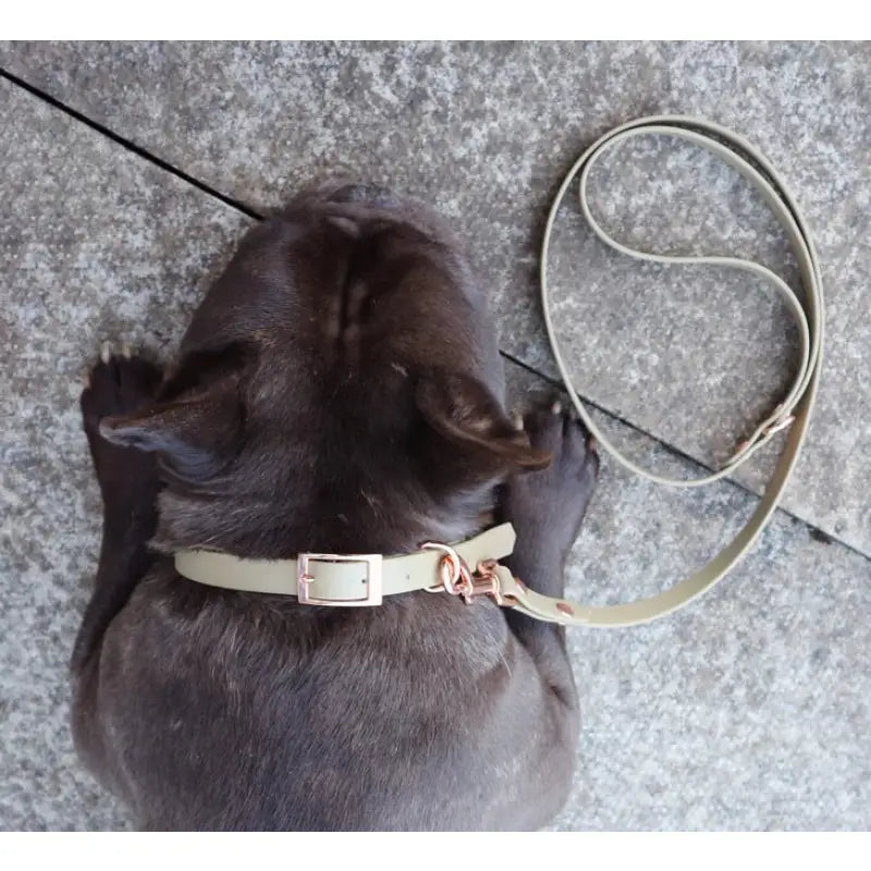 Biothane Dog Collar In Khaki - Poochie Fashion - 3