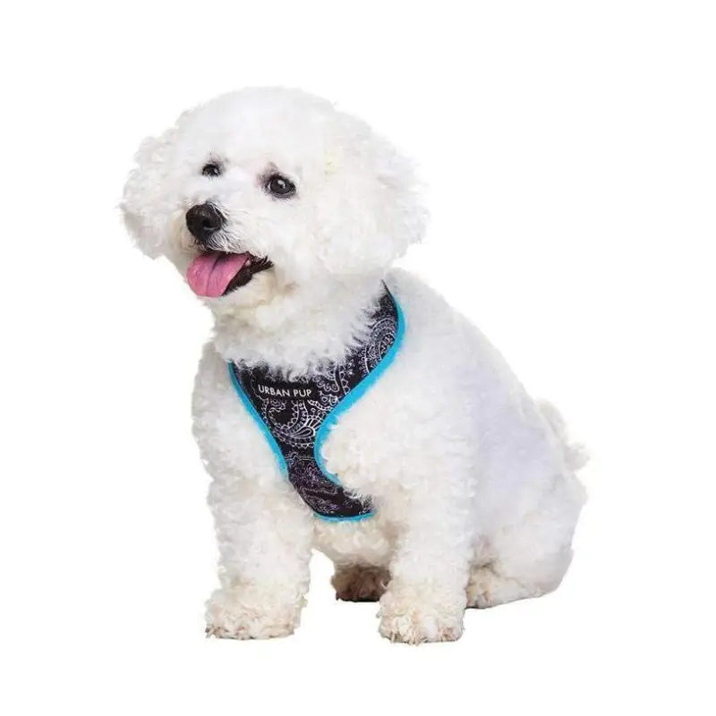 Black and Blue Paisley Designer Dog Harness - Urban Pup - 2