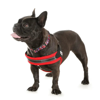 Boomerang Padded Dog Harness Ruby Red - Doodle 3