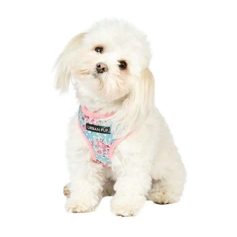 Crystal Elements Vintage Rose Designer Dog Harness - Poochie Fashion - 5