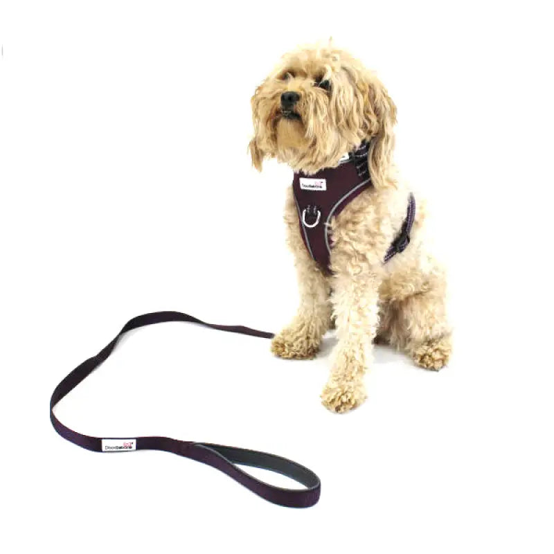 Doodlebone Adjustable Airmesh Dog Harness - Burgundy - Doodle - 3