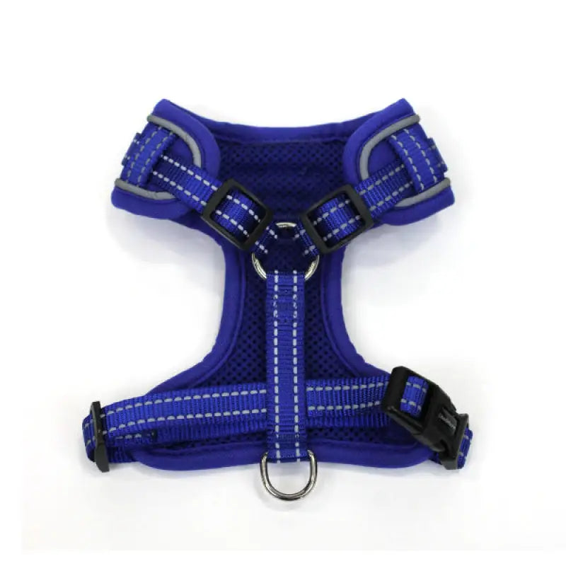 Doodlebone Adjustable Airmesh Dog Harness - Cobalt - Doodle - 2