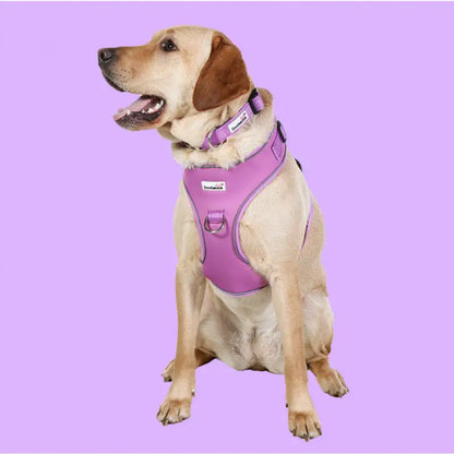 Doodlebone Brights Collection Dog Lead - Orchid Doodle 3