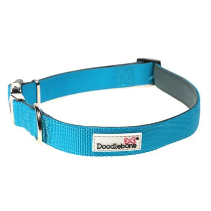 Doodlebone Originals Padded Dog Collar - Aqua - Doodlebone - 2