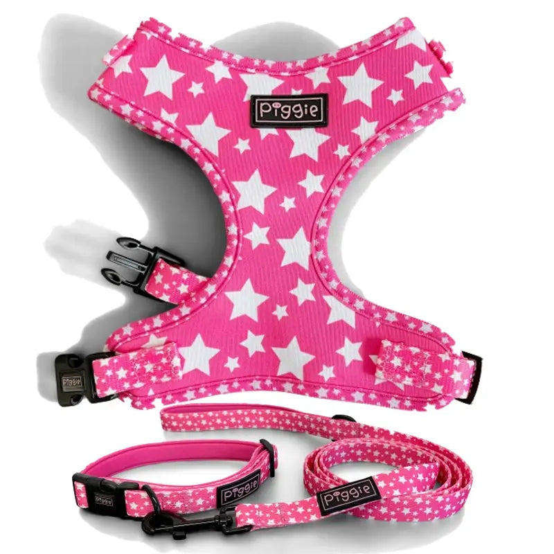 Galaxy Dog Collar and Lead Hot Pink - Piggie - 5