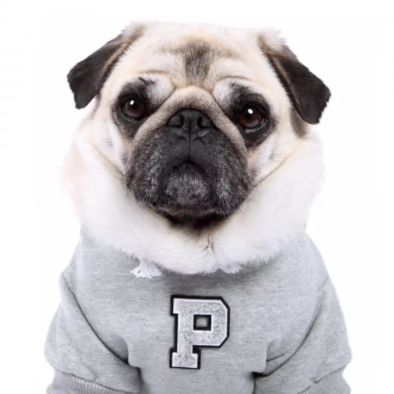 Grey Personalised Embroidered Letter Hoodie - Rich Paw - 3