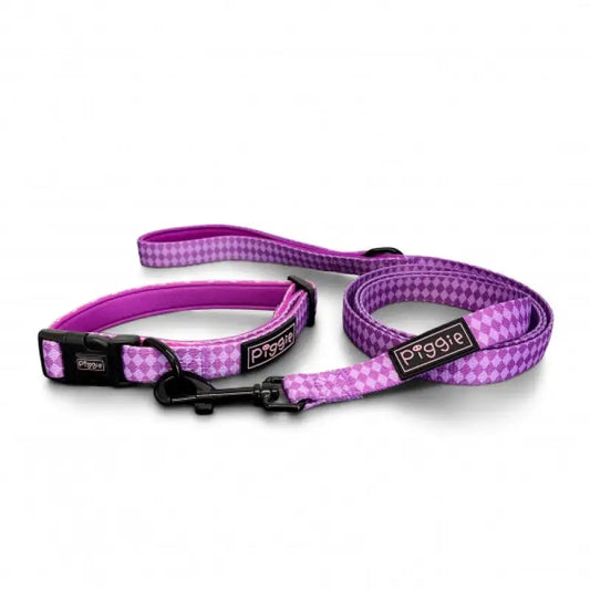 Harlequin Dog Collar and Lead Purple - Piggie - 1