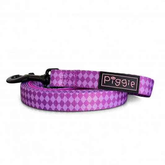 Harlequin Dog Lead Purple - Piggie - 1