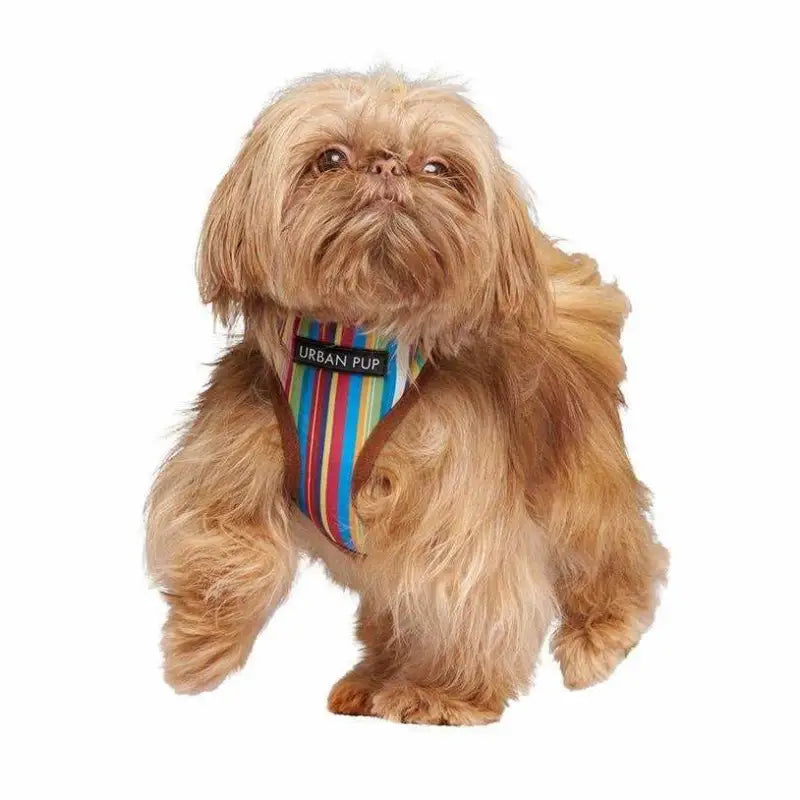 Henley Striped Designer Dog Harness - Urban Pup - 2