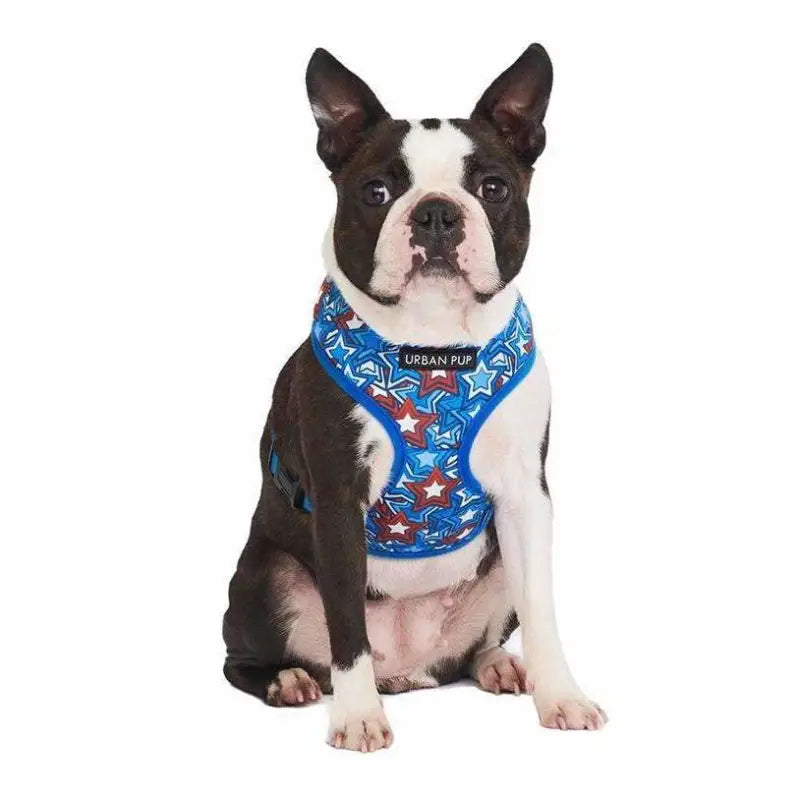 Hero Star Designer Dog Harness - Urban Pup - 3