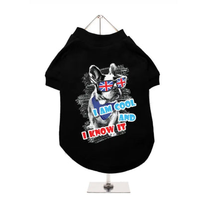 I’m Cool And I Know It Dog T-Shirt - Urban - 3