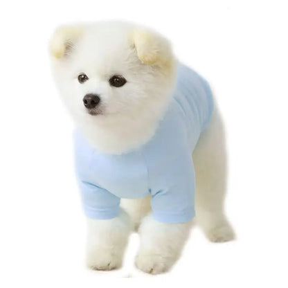 Little Dude Dog T - shirt Baby Blue - Urban Pup 2