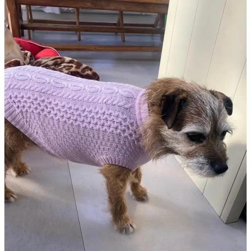 Luxury Supersoft Cable Knit Dog Jumper In Candy Floss Pink - Rich Paw 5