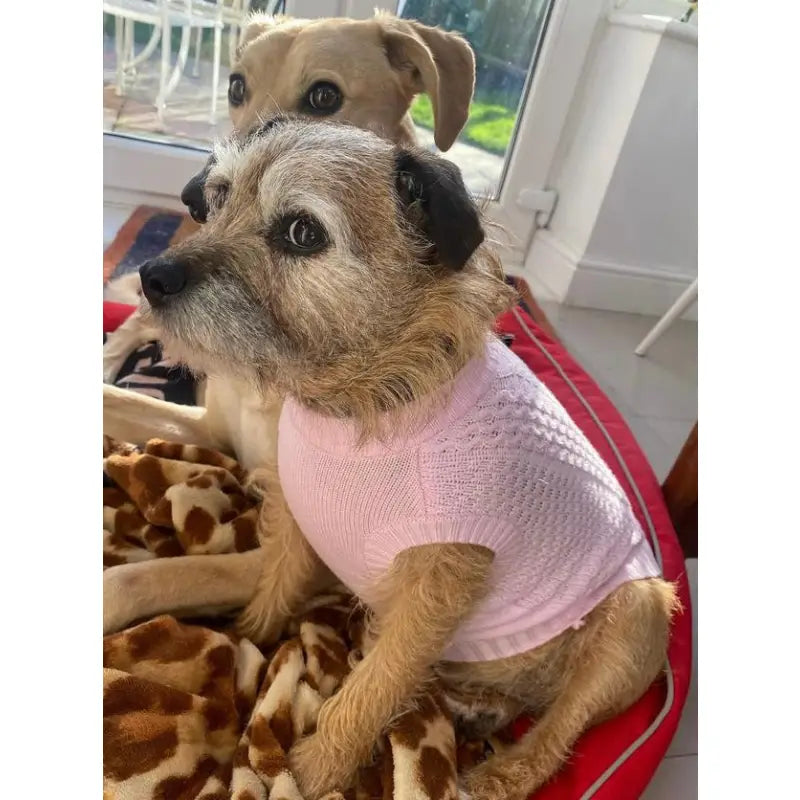 Luxury Supersoft Cable Knit Dog Jumper In Candy Floss Pink - Rich Paw 4