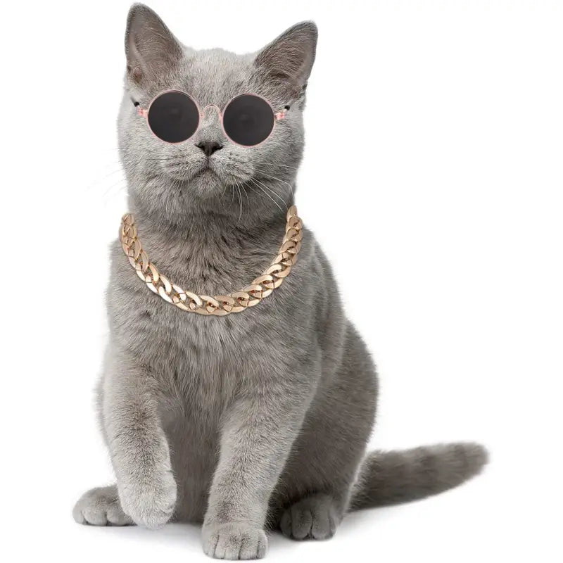 Pet Sunglasses & Chain Costume - Posh Catz - 4