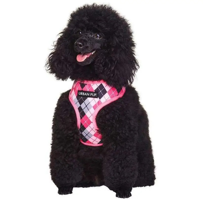 Pink Argyle Dog Harness - Urban Pup - 2