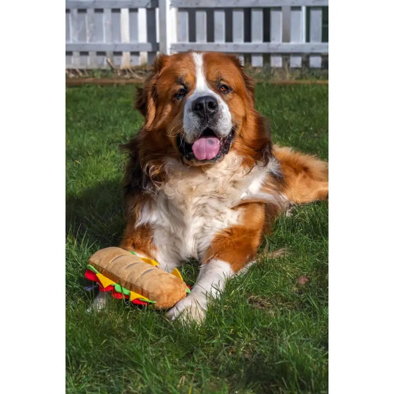 Pupway Sandwich Plush Dog Toy - Pawstory - 5