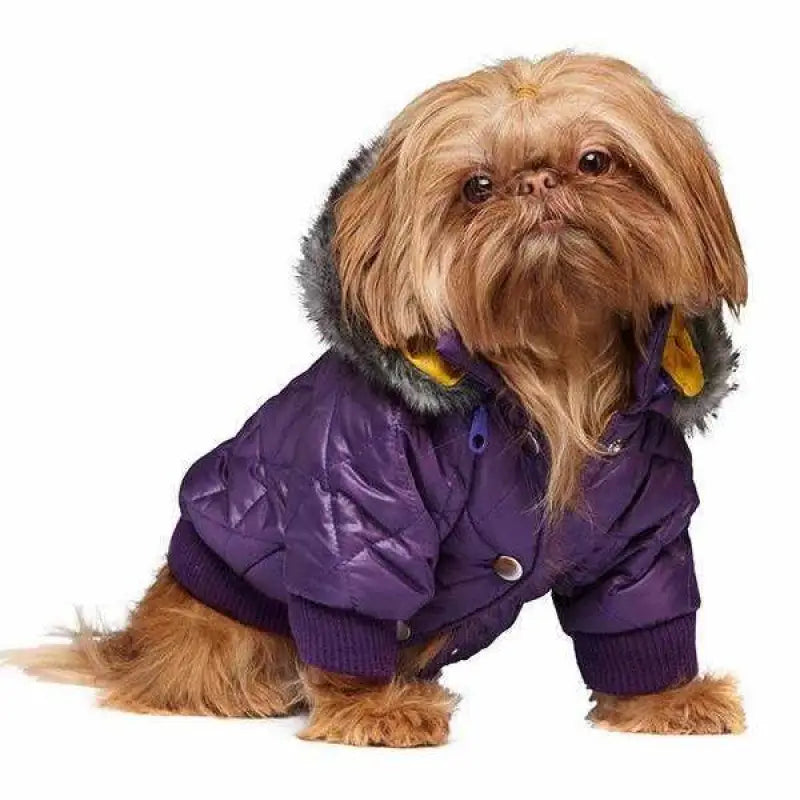 Purple Thermal Quilted Parka Dog Coat - Urban Pup - 5