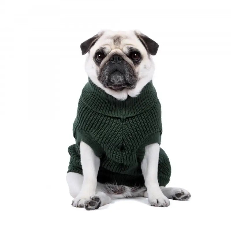Ribbed Turtle Neck Supersoft Dog Jumper In Forest Green - Rich Paw - 3