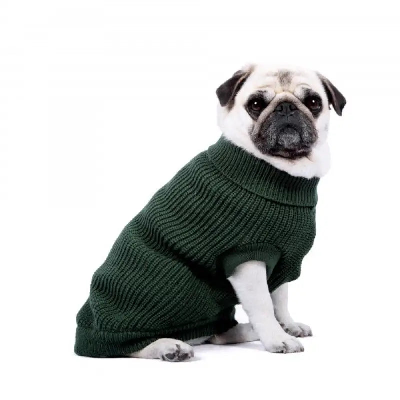 Ribbed Turtle Neck Supersoft Dog Jumper In Forest Green - Rich Paw - 2