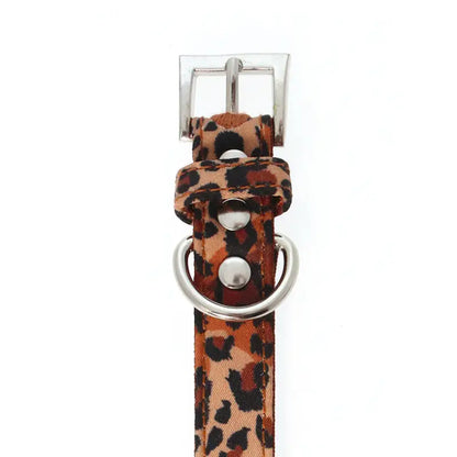 Wild Cat Leopard Fabric Dog Collar - Urban - 3