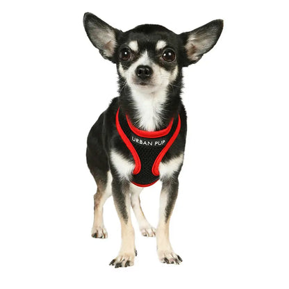 Active Mesh Neon Red Dog Harness - Urban Pup - 2