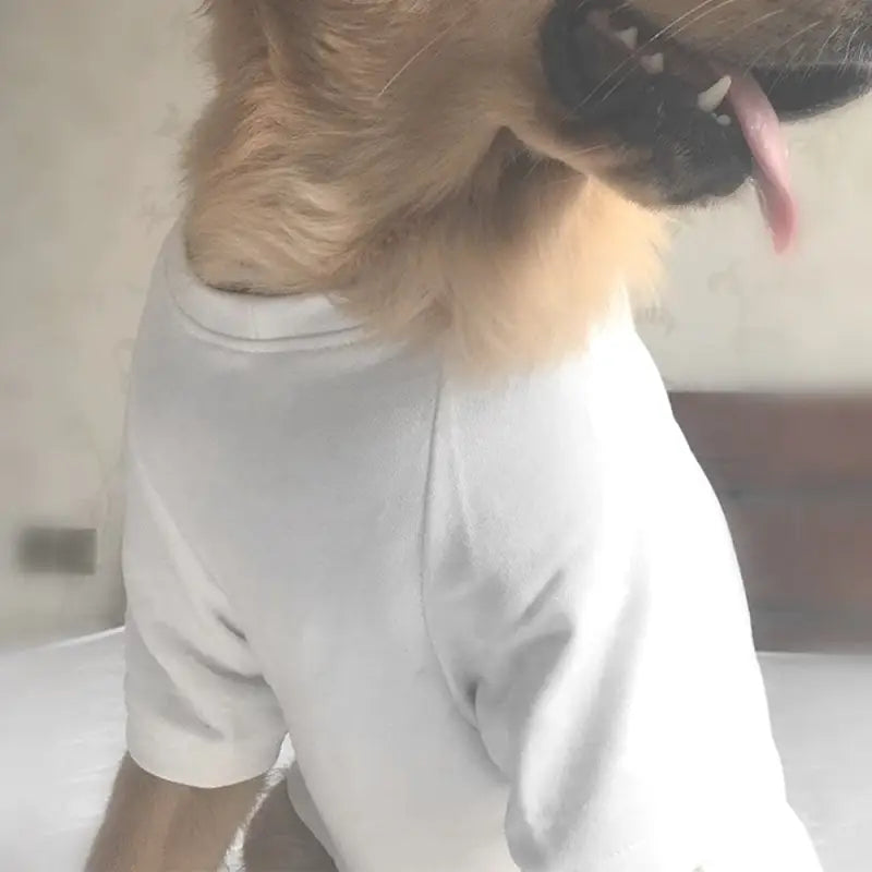 Baaa Humbug Harness Lined Dog T-shirt - Urban Pup - 2