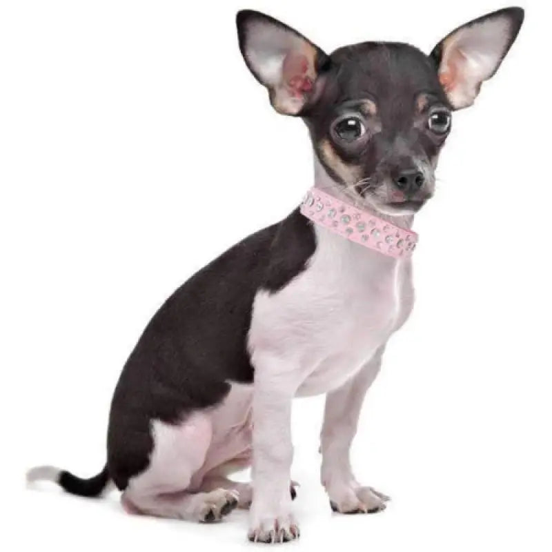 Baby Pink Rhinestone Sprinkles Dog Collar - Posh Pawz - 3