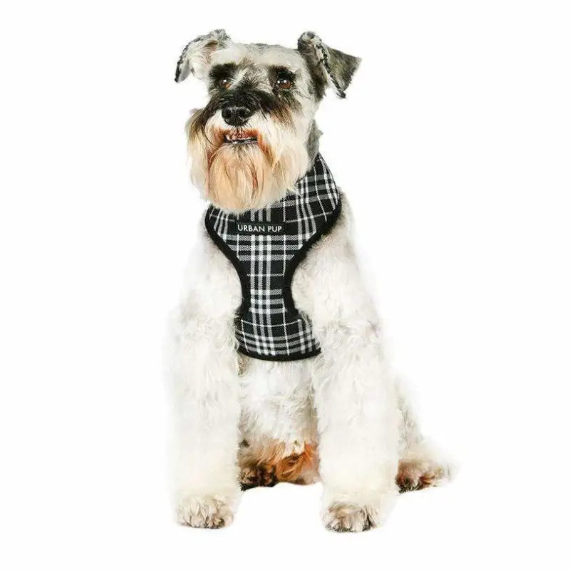 Black and White Tartan Dog Harness - Urban Pup - 2
