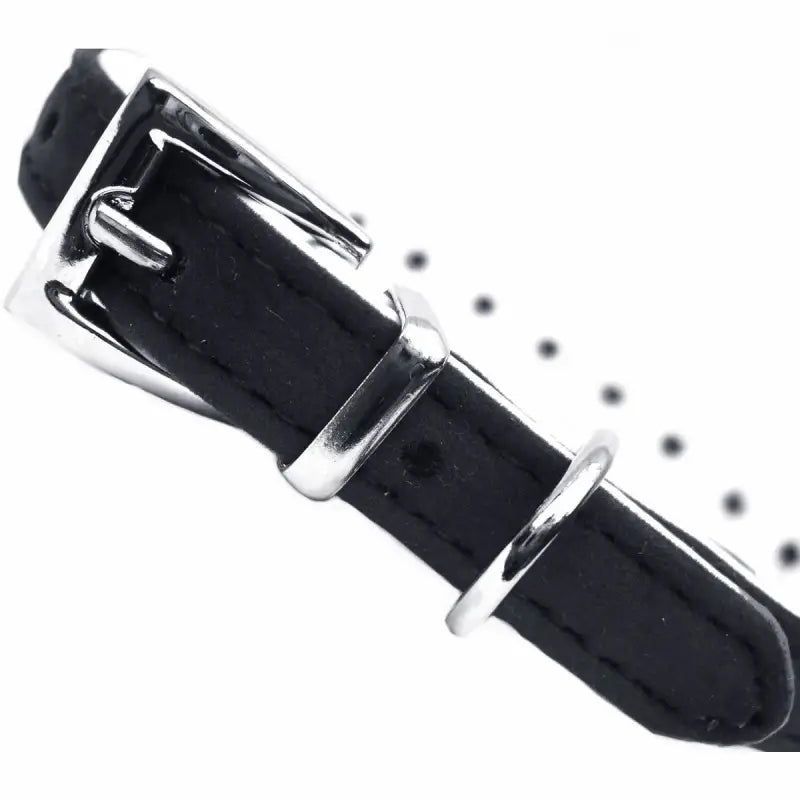 Black Plush Diamante Dog Collar - Posh Pawz - 2