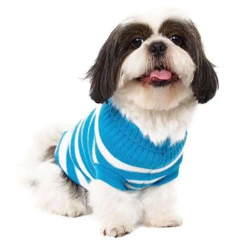 Blue and White Candy Stripe Dog Jumper - Urban Pup - 2