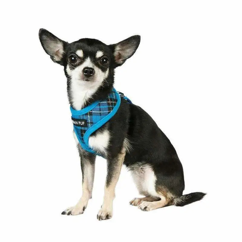 Blue Tartan Dog Harness - Urban Pup - 2
