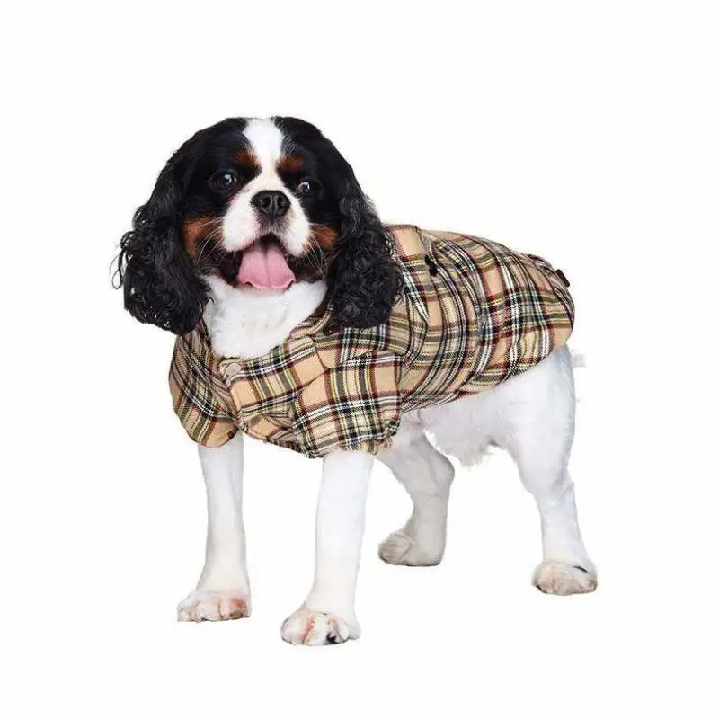 Brown Tartan Designer Dog Coat - Urban Pup - 2