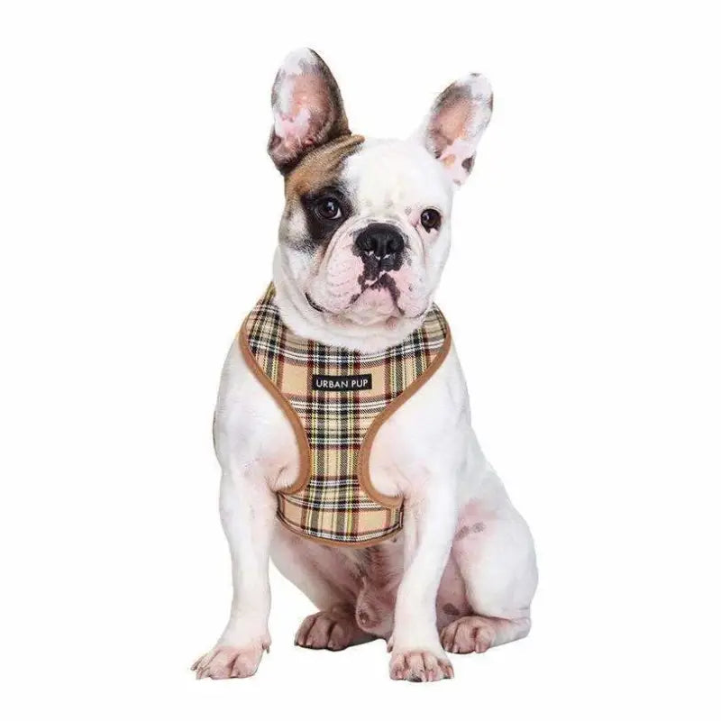 Brown Tartan Designer Dog Harness - Urban Pup - 2