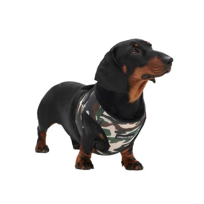 Camouflage Soft Mesh Vest Dog Harness - Urban - 2
