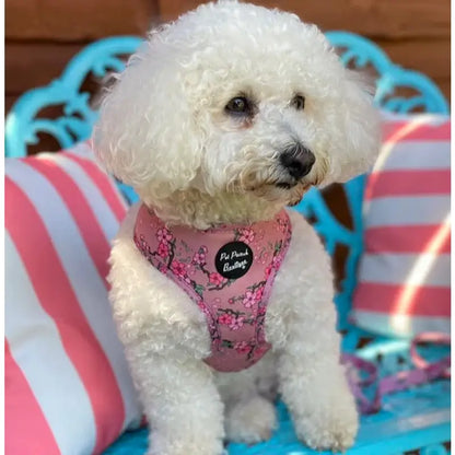 Cherry Blossom Pink Puppy Dog Harness - Pet Pooch - 2
