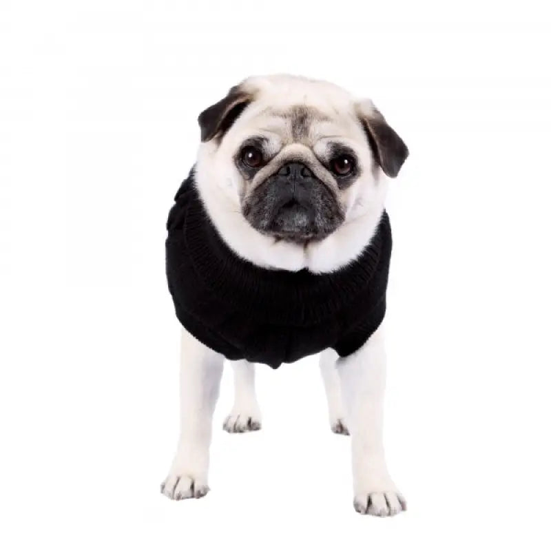 Chunky Cable and Herringbone Knit Dog Jumper In Black - Rich Paw - 6