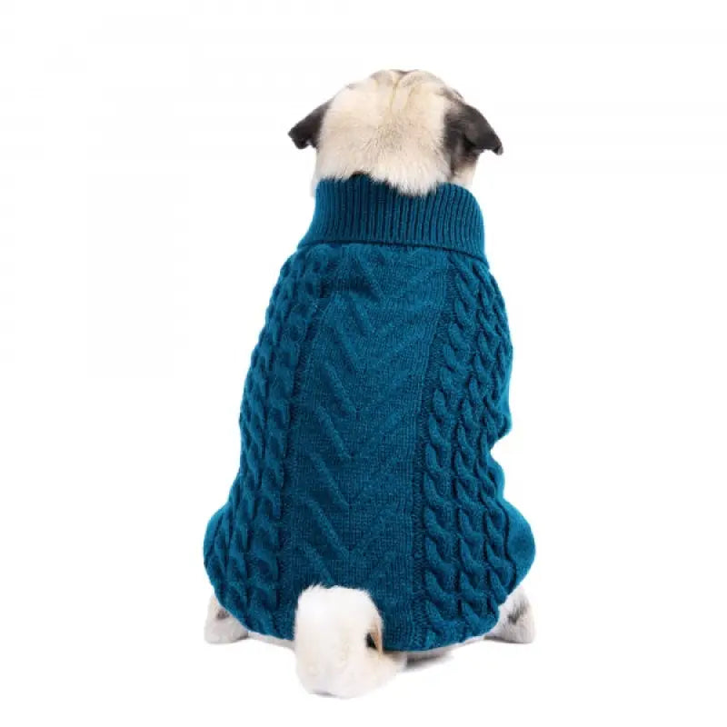 Chunky Cable and Herringbone Knit Dog Jumper In Teal - Rich Paw - 1