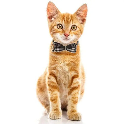 Classic Black Tartan Plaid Cat Collar - Posh Catz - 2