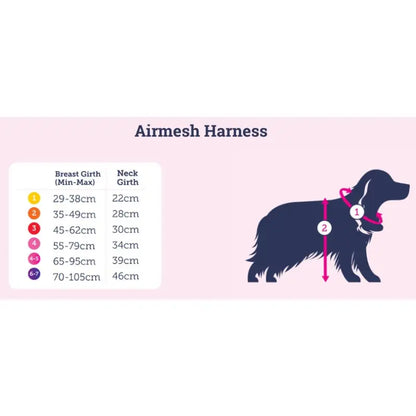 Crystal Air Mesh Dog Harness In Aqua - Poochie Fashion - 2