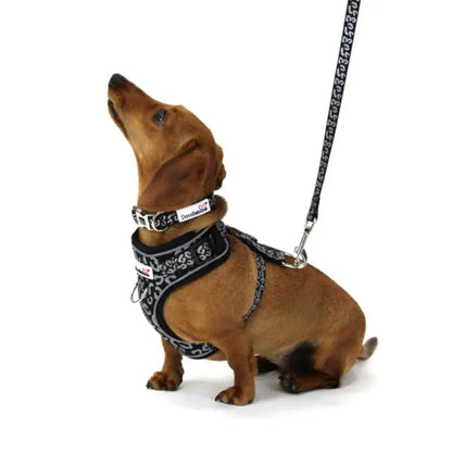 Doodlebone Adjustable Airmesh Dog Harness - Coal Leopard Reflective - Doodlebone - 3
