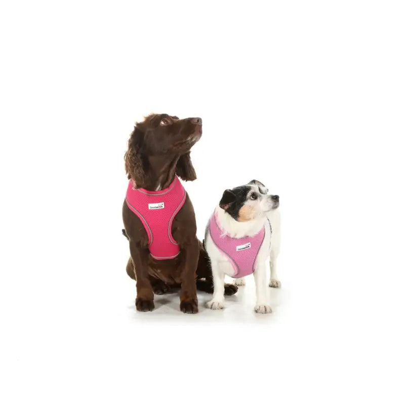 Doodlebone Originals Airmesh Dog Harness - Fuchsia Pink - Doodlebone - 4