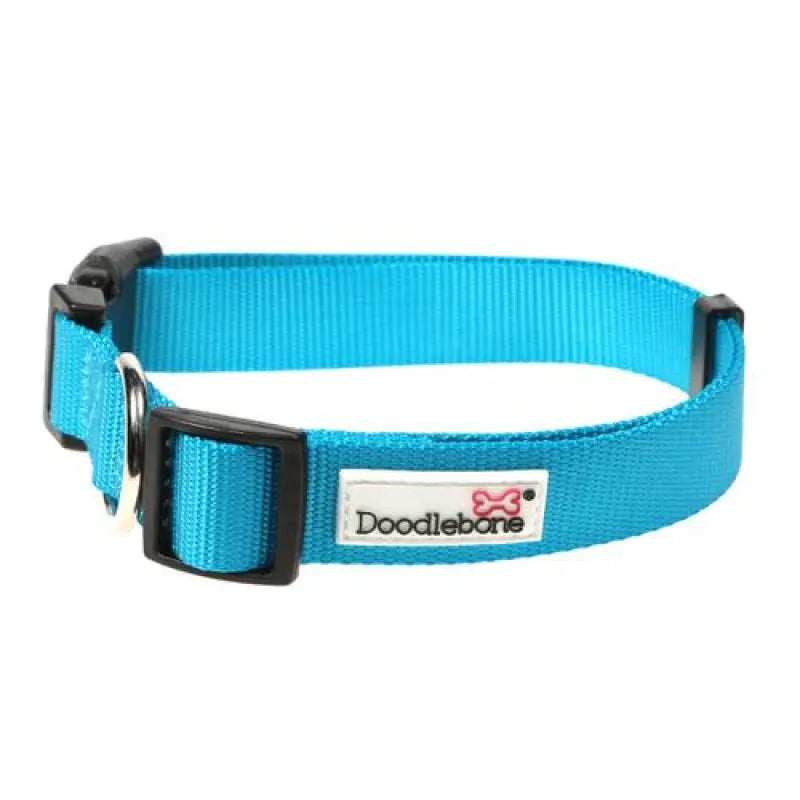 Doodlebone Originals Dog Collar - Aqua Blue - Doodlebone - 2