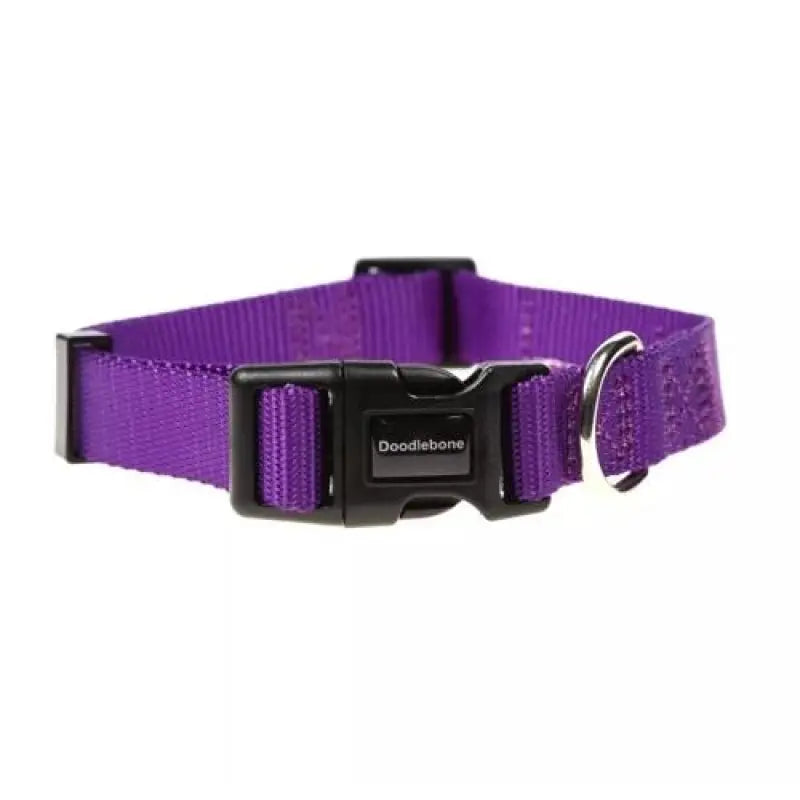 Doodlebone Originals Dog Collar - Violet Purple - Doodlebone - 1