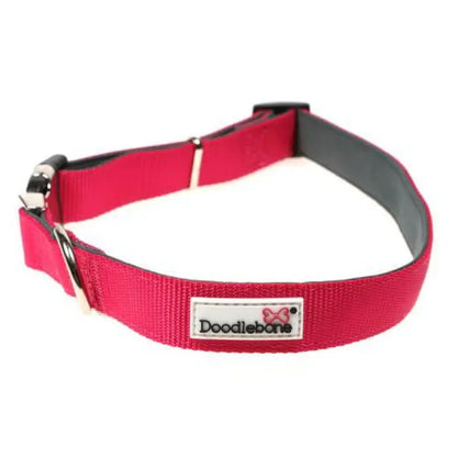 Doodlebone Originals Padded Dog Collar - Fuchsia - Doodlebone - 2