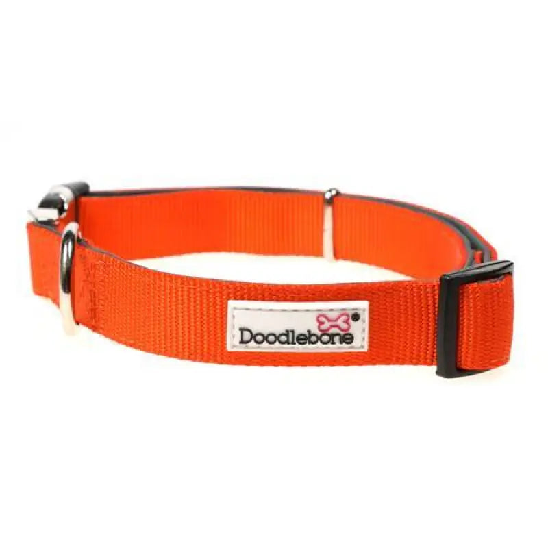 Doodlebone Originals Padded Dog Collar - Tangerine - Doodlebone - 2