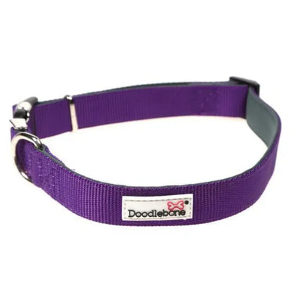 Doodlebone Originals Padded Dog Collar - Violet - Doodlebone - 2