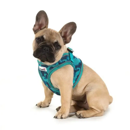 Doodlebone Originals Snappy Dog Harness - Aqua Blue - Doodlebone - 5