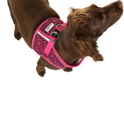 Doodlebone Originals Snappy Dog Harness - Fuchsia Pink - Doodlebone - 4